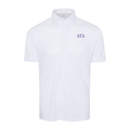 Collars & Co. Delta Tau Delta Semi-Spread Collar Polo White