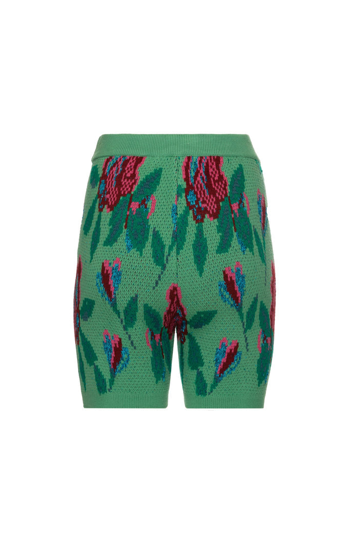 Green Sequence Shorts