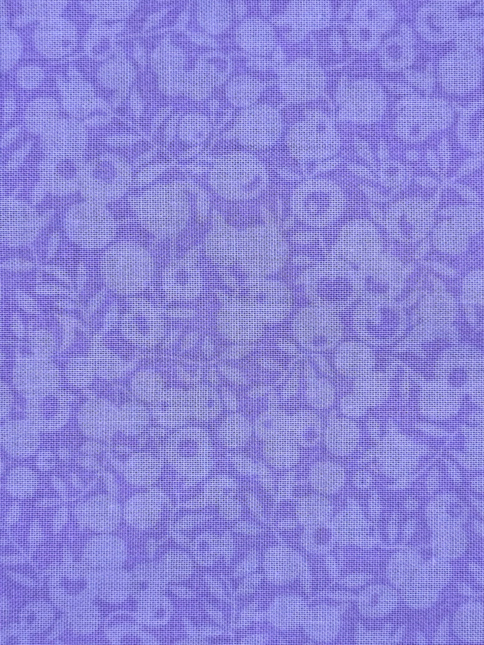 Purple blooms