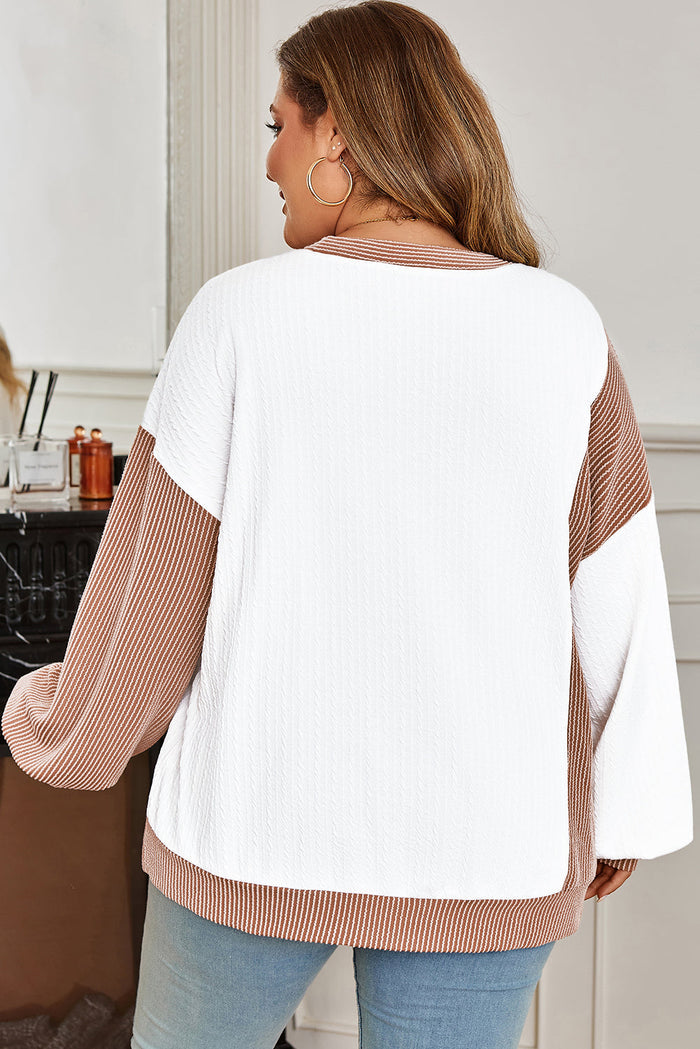 Plus Size Colorblock Cable Textured Top