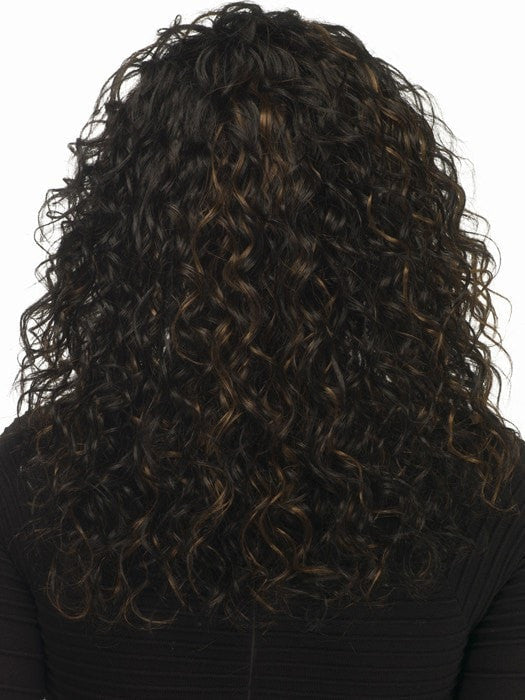 FS1B/30 | 80% Off Black with 20% Copper Blonde Frost