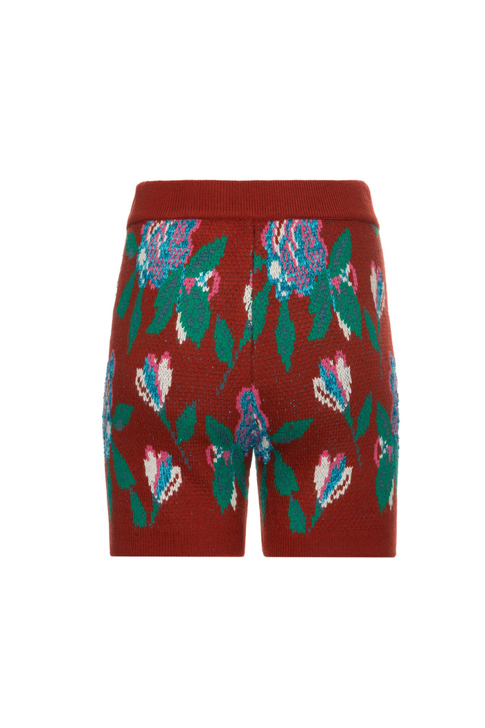 Red Sequence Shorts