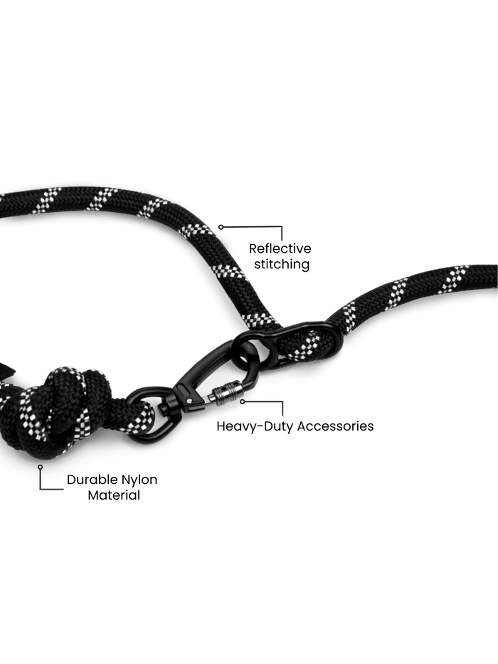 Runners Hands Free Dog Leash