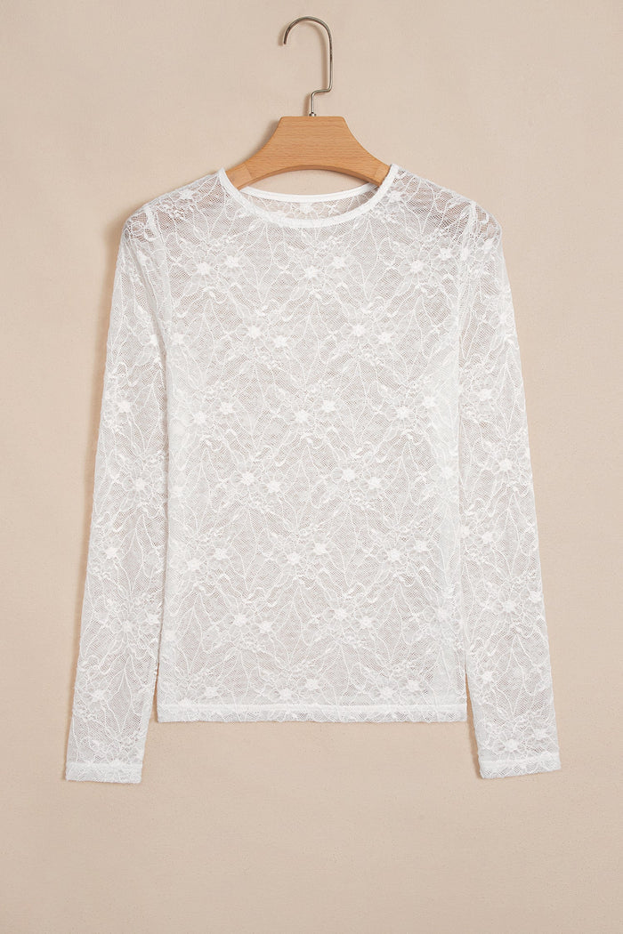 Sheer Lace Mesh Crew Neck Long Sleeve Top