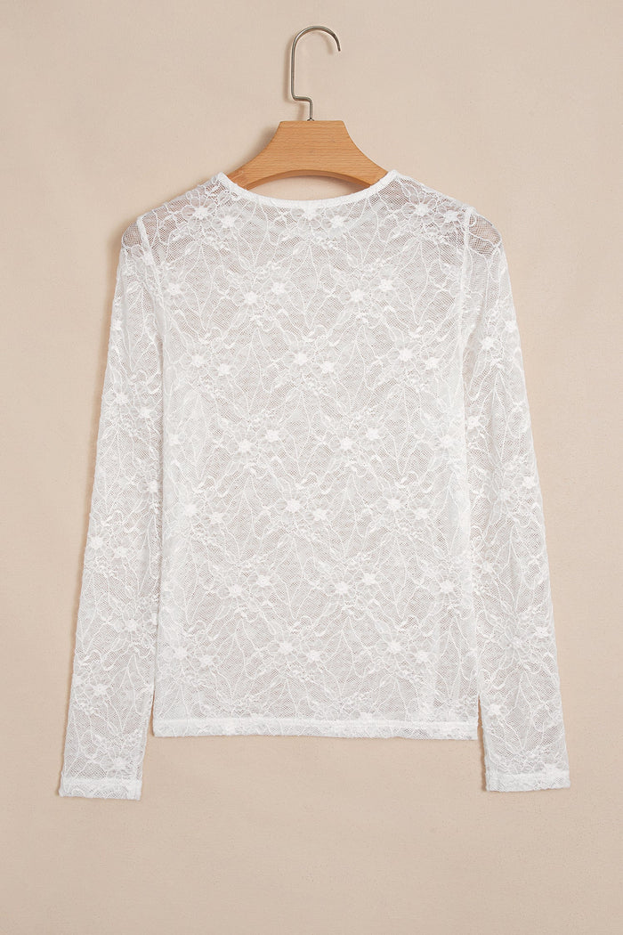 Sheer Lace Mesh Crew Neck Long Sleeve Top