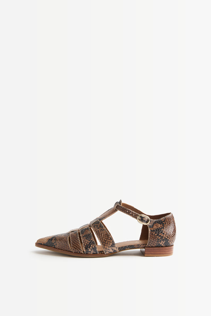 ZAPATO PUNTA PRINT
