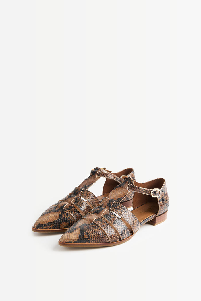 ZAPATO PUNTA PRINT