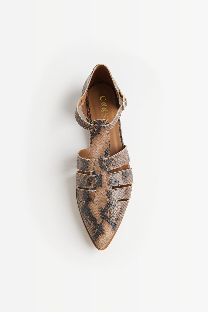 ZAPATO PUNTA PRINT